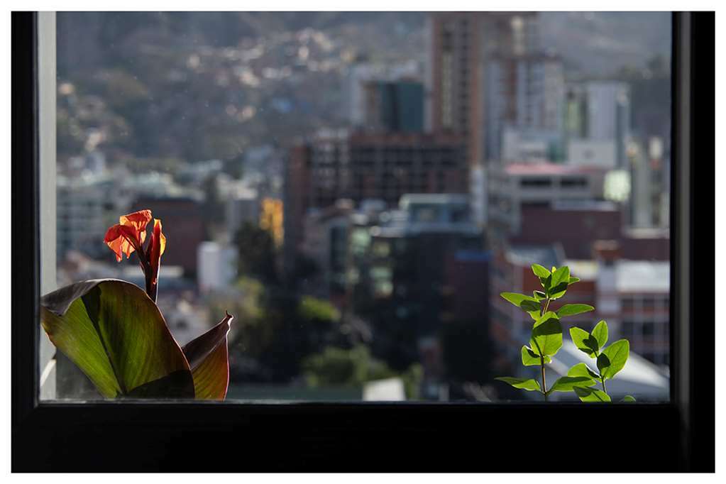Casa Grande Express Hotel La Paz Room photo